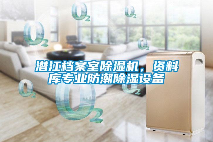 国产精品探花在线观看 潜江档案室除湿机，资料库专业防潮除湿设备