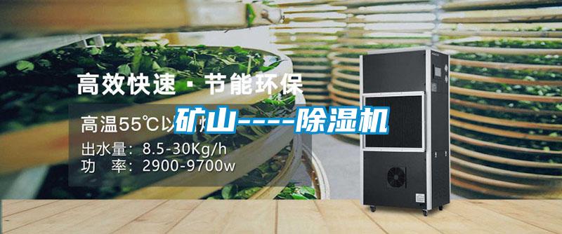 国产精品欧美激情视频 矿山----除湿机