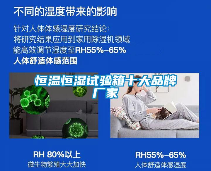 国产精品探花在线观看 恒温恒湿试验箱十大品牌厂家
