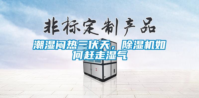 国产精品三级在线观看 潮湿闷热三伏天，除湿机如何赶走湿气