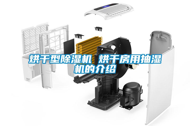 国产精品欧美激情视频 烘干型除湿机 烘干房用抽湿机的介绍