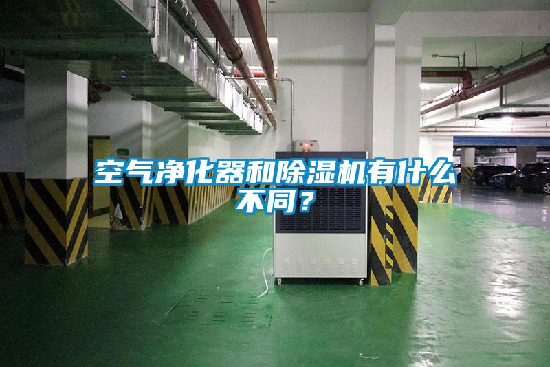 国产精品欧美激情视频 空气净化器和除湿机有什么不同？