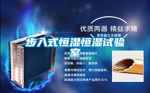 国产精品探花在线观看 步入式恒湿恒湿试验室