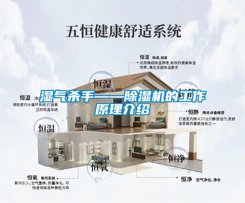 国产精品探花在线观看 湿气杀手——除湿机的工作原理介绍