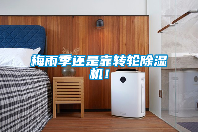 国产精品探花在线观看 梅雨季还是靠转轮除湿机！