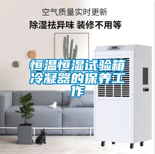 国产精品欧美激情视频 恒温恒湿试验箱冷凝器的保养工作
