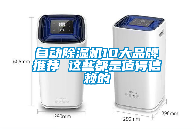 国产精品三级在线观看 自动除湿机10大品牌推荐 这些都是值得信赖的