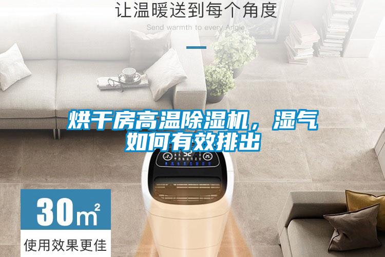国产精品欧美激情视频 烘干房高温除湿机，湿气如何有效排出