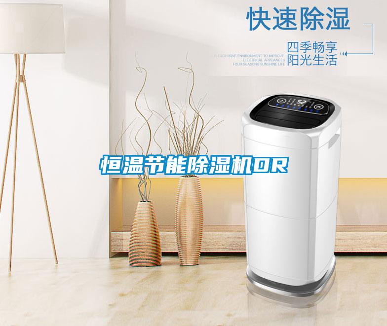 国产精品欧美激情视频 恒温节能除湿机DR