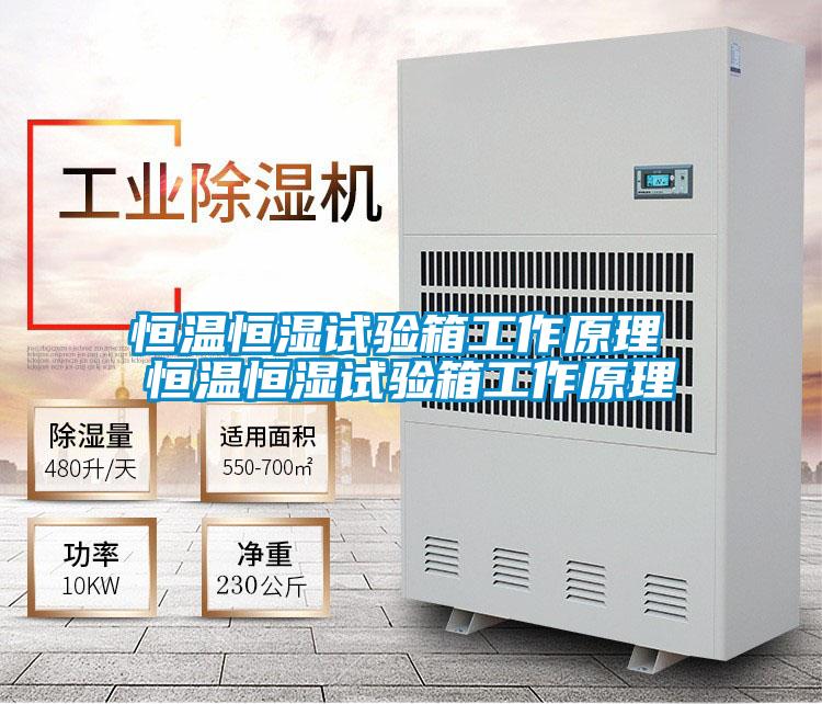国产精品欧美激情视频 恒温恒湿试验箱工作原理 恒温恒湿试验箱工作原理