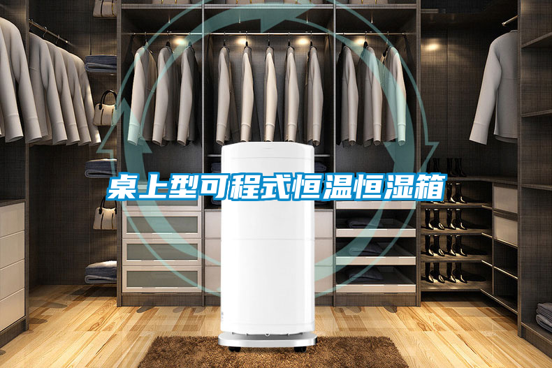 国产精品探花在线观看 桌上型可程式恒温恒湿箱