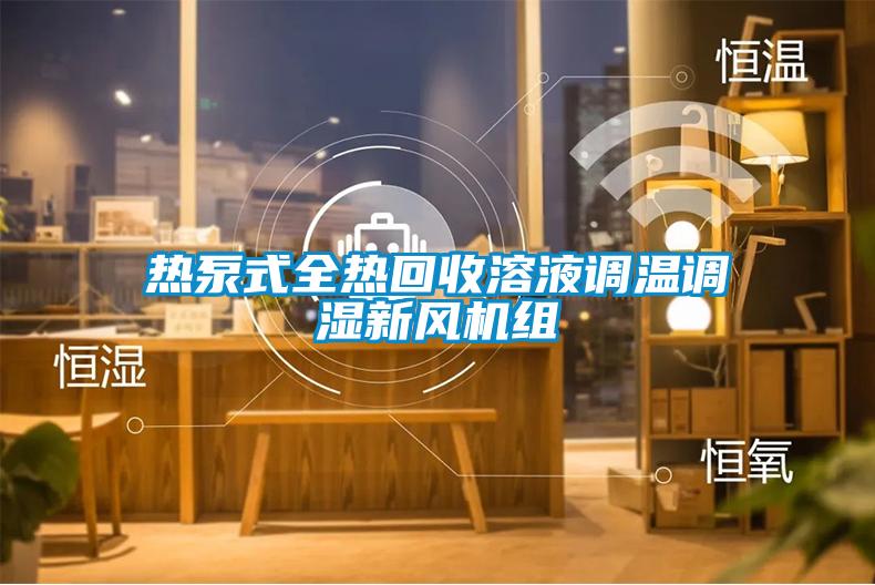 国产精品三级在线观看 热泵式全热回收溶液调温调湿新风机组