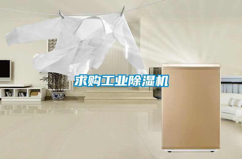 国产精品欧美激情视频 求购工业除湿机