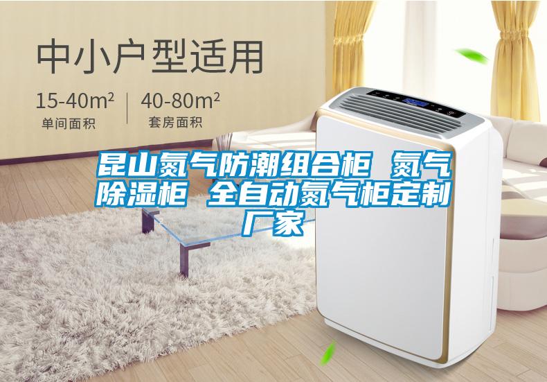 国产精品探花在线观看 昆山氮气防潮组合柜 氮气除湿柜 全自动氮气柜定制厂家