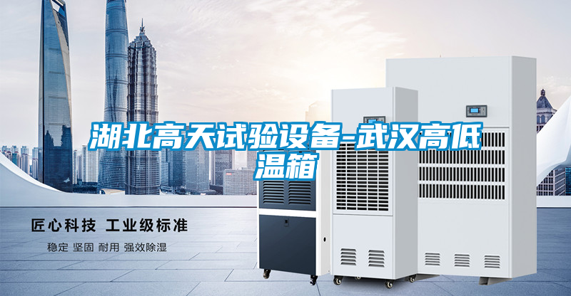 国产精品探花在线观看 湖北高天试验设备-武汉高低温箱