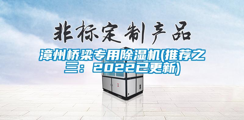国产精品三级在线观看 漳州桥梁专用除湿机(推荐之三：2022已更新)
