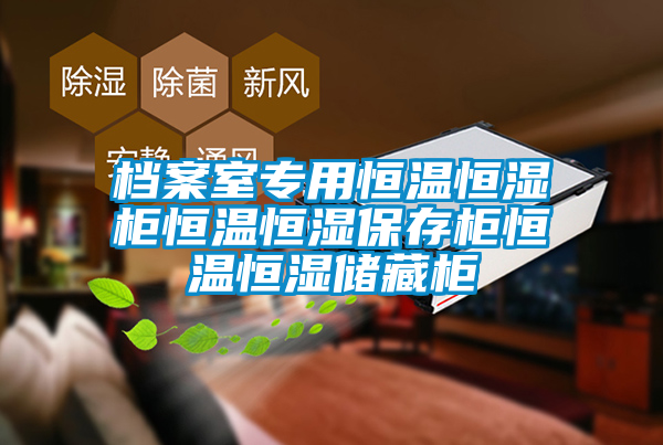 国产精品探花在线观看 档案室专用恒温恒湿柜恒温恒湿保存柜恒温恒湿储藏柜