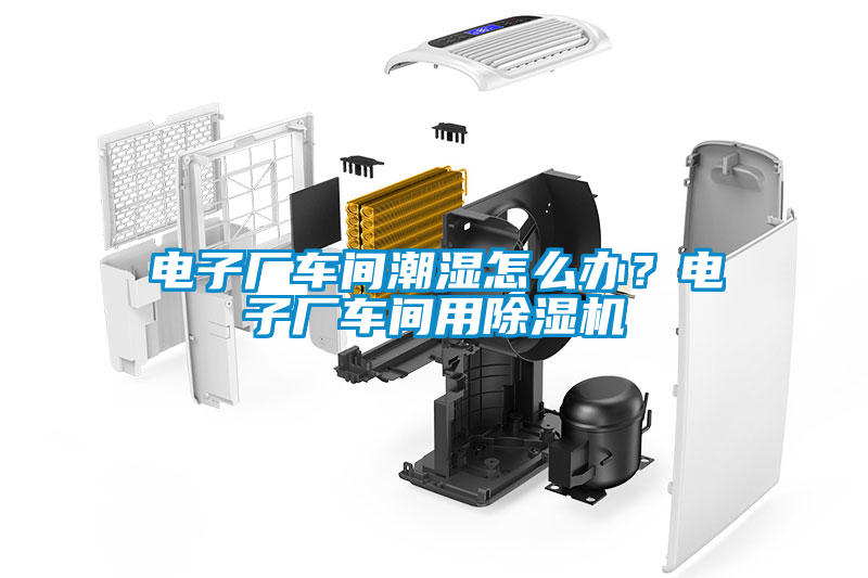 国产精品欧美激情视频 电子厂车间潮湿怎么办？电子厂车间用除湿机