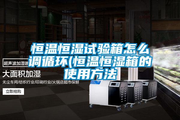 国产精品三级在线观看 恒温恒湿试验箱怎么调循环(恒温恒湿箱的使用方法
