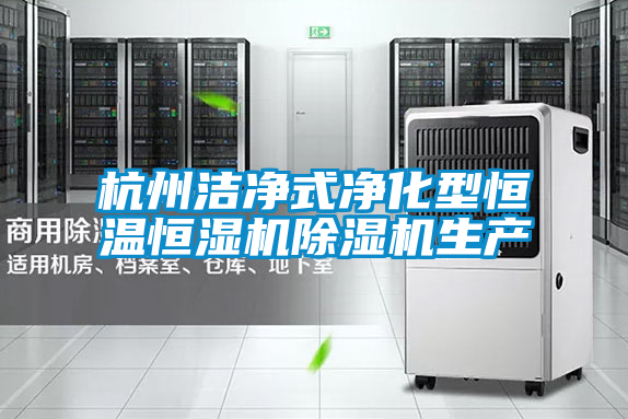 国产精品三级在线观看 杭州洁净式净化型恒温恒湿机除湿机生产