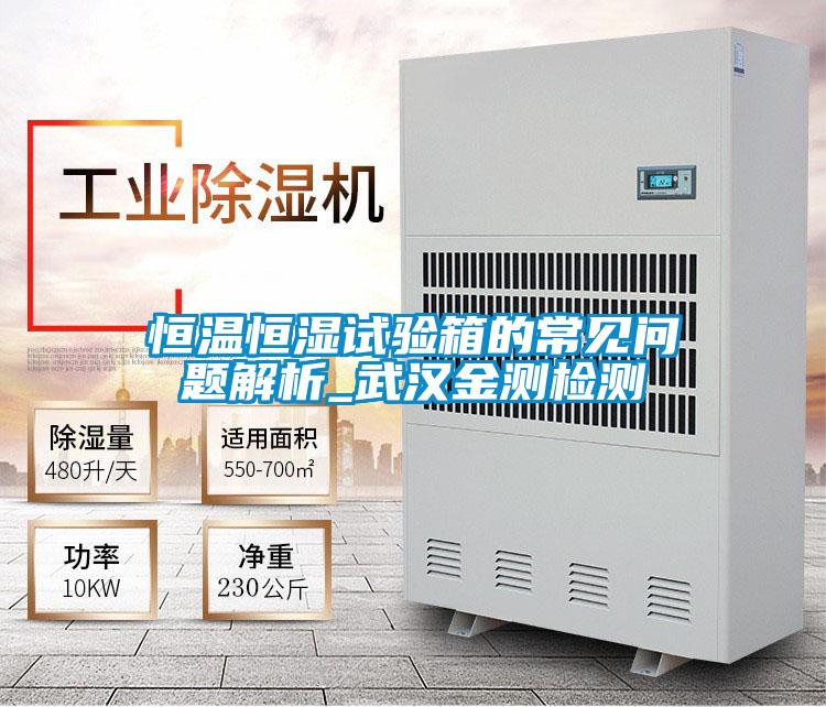 国产精品三级在线观看 恒温恒湿试验箱的常见问题解析_武汉金测检测