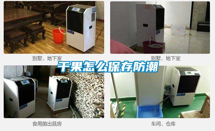 国产精品三级在线观看 干果怎么保存防潮