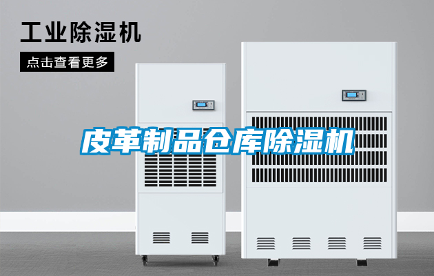 国产精品三级在线观看 皮革制品仓库除湿机