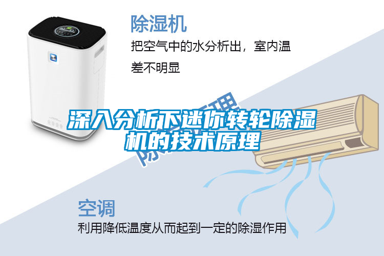 国产精品欧美激情视频 深入分析下迷你转轮除湿机的技术原理