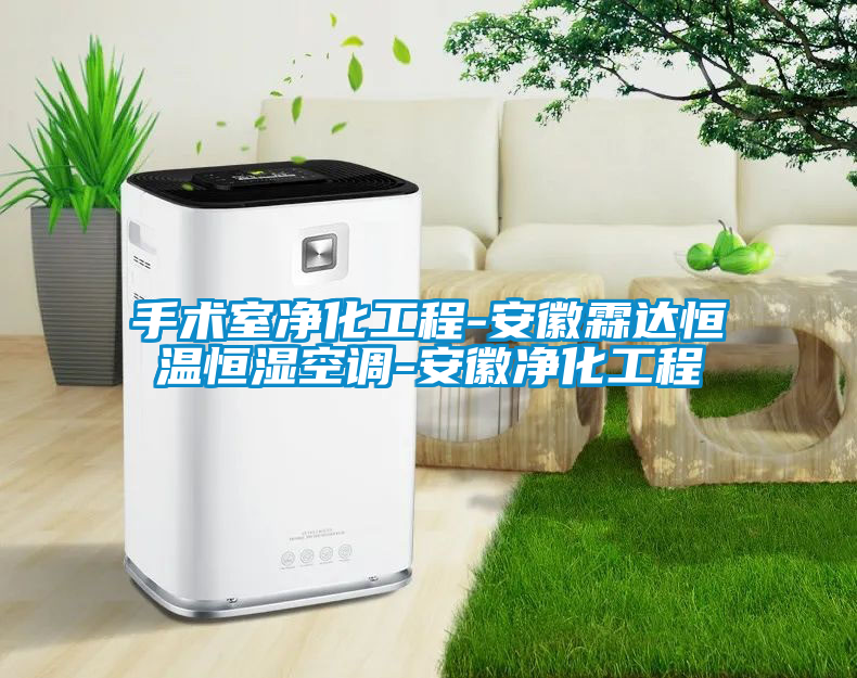 国产精品三级在线观看 手术室净化工程-安徽霖达恒温恒湿空调-安徽净化工程