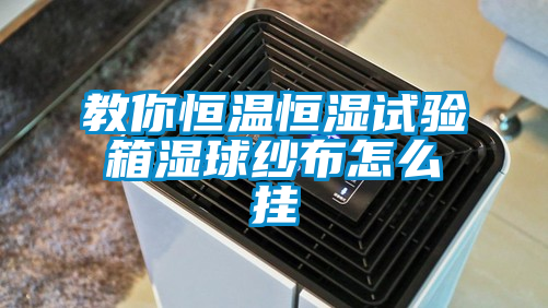 国产精品欧美激情视频 教你恒温恒湿试验箱湿球纱布怎么挂