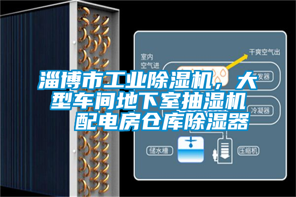 国产精品三级在线观看 淄博市工业除湿机，大型车间地下室抽湿机  配电房仓库除湿器