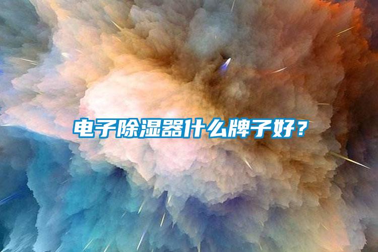 国产精品欧美激情视频 电子除湿器什么牌子好？