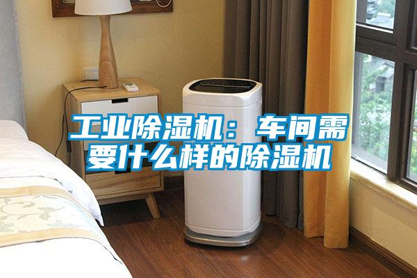 国产精品三级在线观看 工业除湿机：车间需要什么样的除湿机