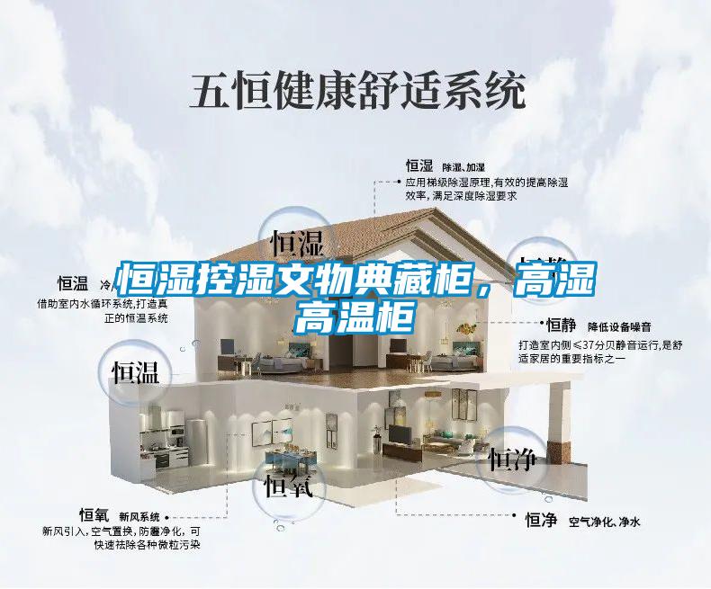国产精品三级在线观看 恒湿控湿文物典藏柜，高湿高温柜