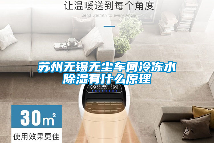 国产精品探花在线观看 苏州无锡无尘车间冷冻水除湿有什么原理