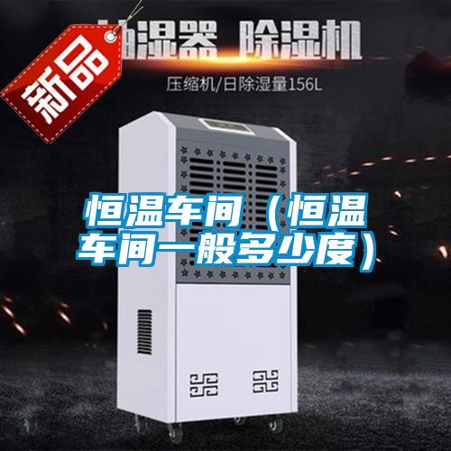 国产精品欧美激情视频 恒温车间（恒温车间一般多少度）