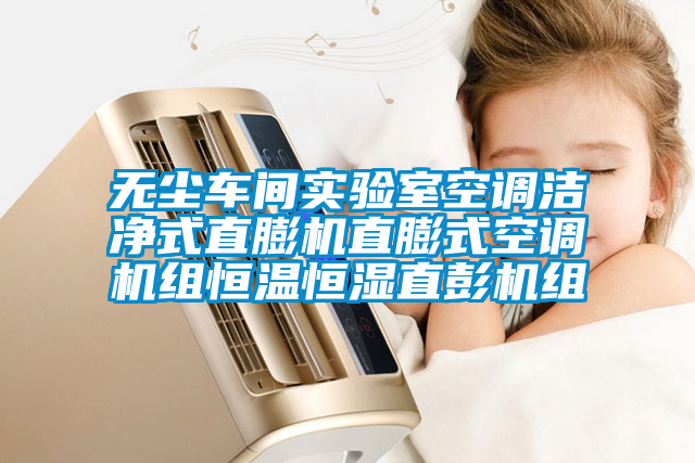 国产精品欧美激情视频 无尘车间实验室空调洁净式直膨机直膨式空调机组恒温恒湿直彭机组