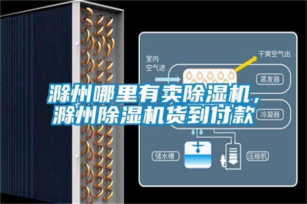 国产精品欧美激情视频 滁州哪里有卖除湿机，滁州除湿机货到付款