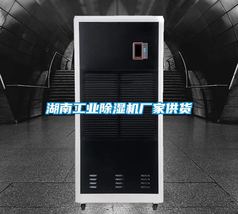 国产精品探花在线观看 湖南工业除湿机厂家供货