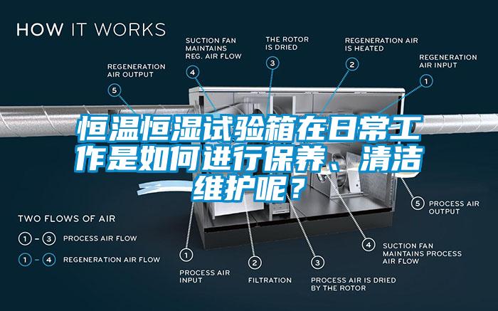 国产精品三级在线观看 恒温恒湿试验箱在日常工作是如何进行保养、清洁维护呢？