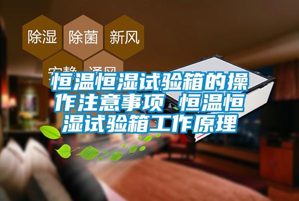 国产精品三级在线观看 恒温恒湿试验箱的操作注意事项 恒温恒湿试验箱工作原理