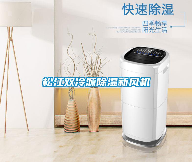 国产精品三级在线观看 松江双冷源除湿新风机