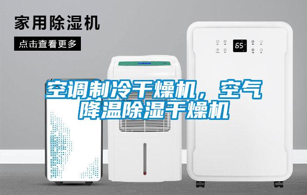 国产精品探花在线观看 空调制冷干燥机，空气降温除湿干燥机