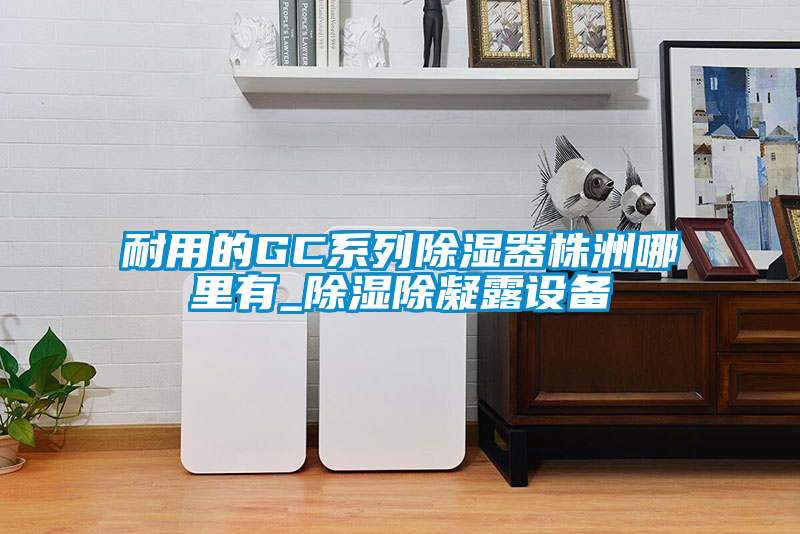 国产精品探花在线观看 耐用的GC系列除湿器株洲哪里有_除湿除凝露设备