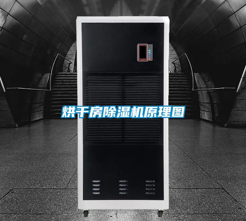 国产精品三级在线观看 烘干房除湿机原理图