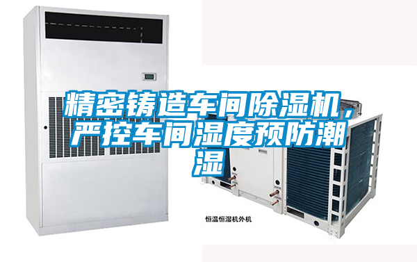 国产精品欧美激情视频 精密铸造车间除湿机，严控车间湿度预防潮湿