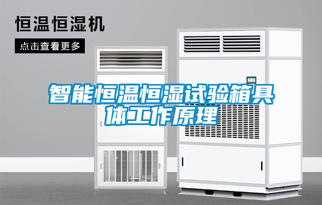 国产精品三级在线观看 智能恒温恒湿试验箱具体工作原理