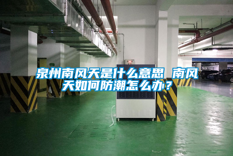 国产精品探花在线观看 泉州南风天是什么意思 南风天如何防潮怎么办？