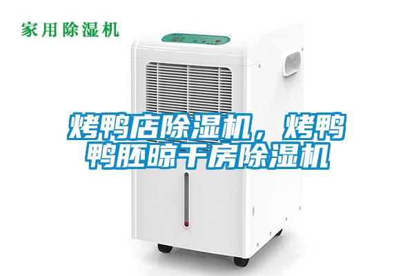 国产精品欧美激情视频 烤鸭店除湿机，烤鸭鸭胚晾干房除湿机