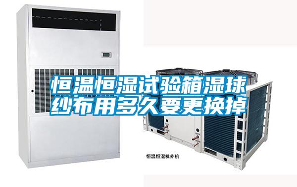 国产精品三级在线观看 恒温恒湿试验箱湿球纱布用多久要更换掉